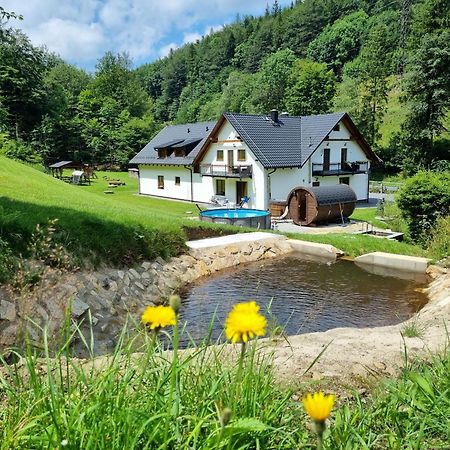 Apartmany U Petra Lipová-lázně Exterior foto