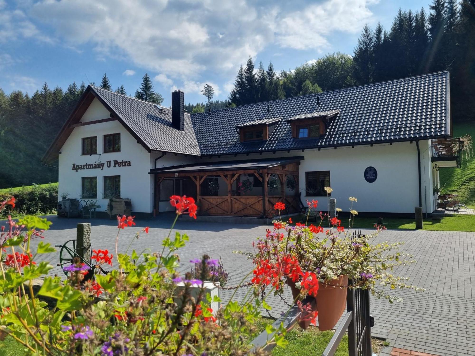 Apartmany U Petra Lipová-lázně Exterior foto
